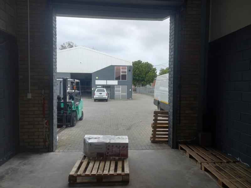 To Let commercial Property for Rent in Walmer Eastern Cape